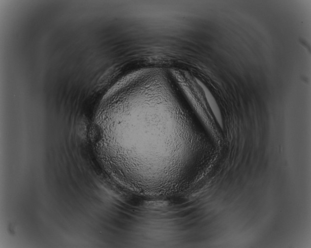 X0000093100266200710171207