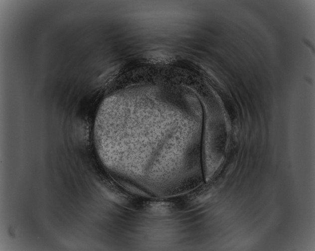 X0000093100268200710171207