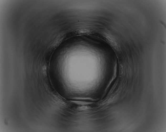 X0000093100269200710171208
