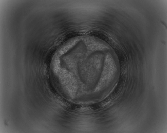 X0000093100270200710171208