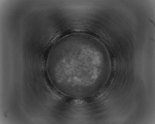 X0000093100272200710171208
