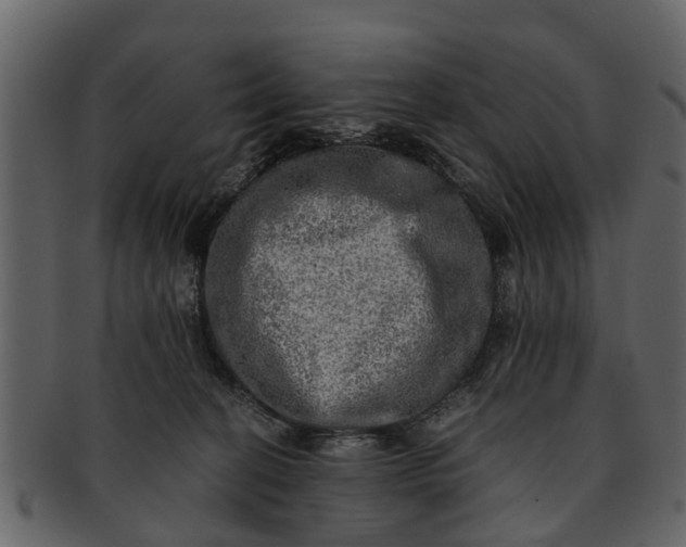 X0000093100274200710171208