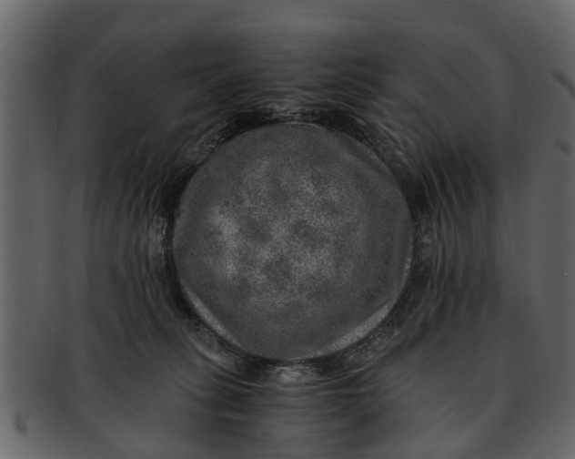 X0000093100275200710171208