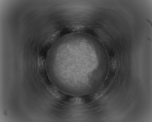 X0000093100276200710171208