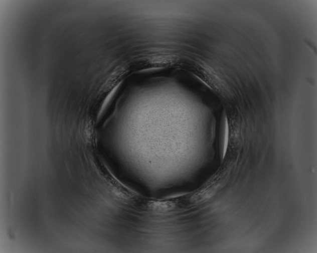 X0000093100277200710171208