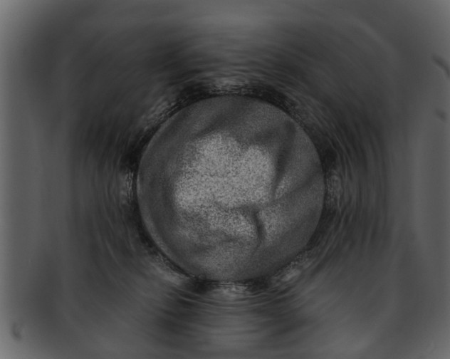 X0000093100278200710171208