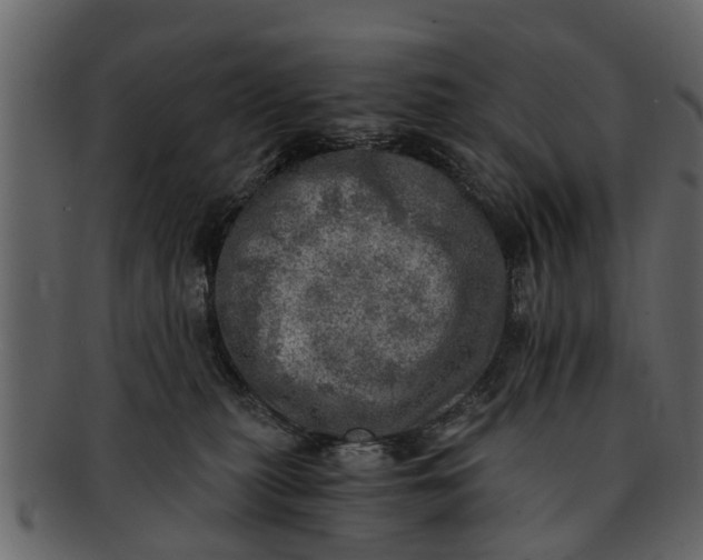 X0000093100279200710171208