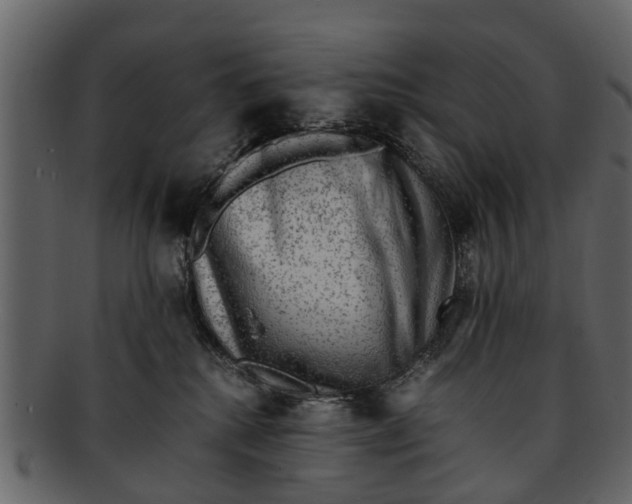 X0000093100280200710171208