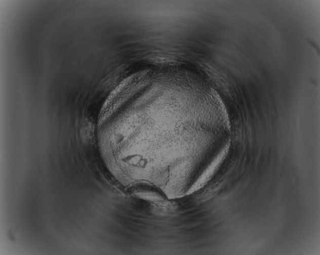 X0000093100281200710171208