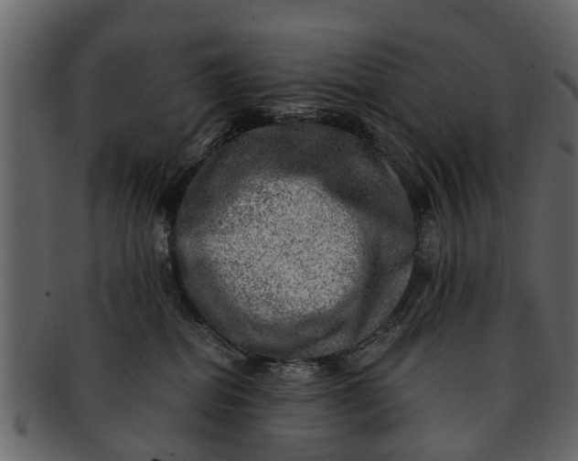 X0000093100282200710171208