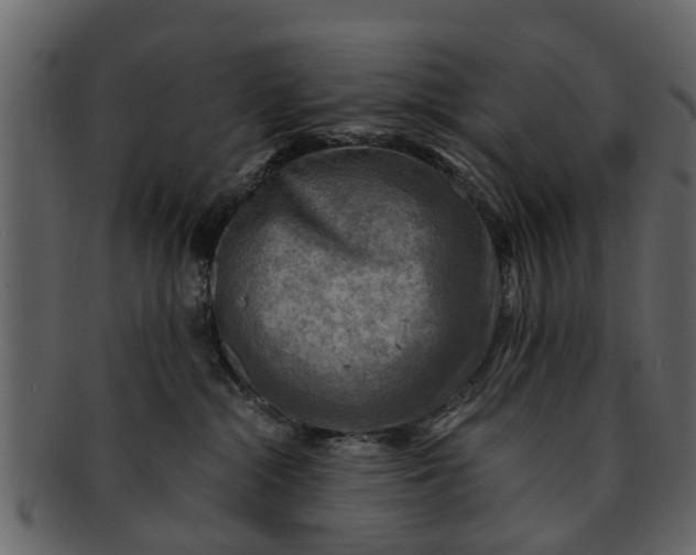 X0000093100284200710171208