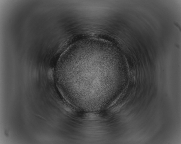 X0000093100286200710171208