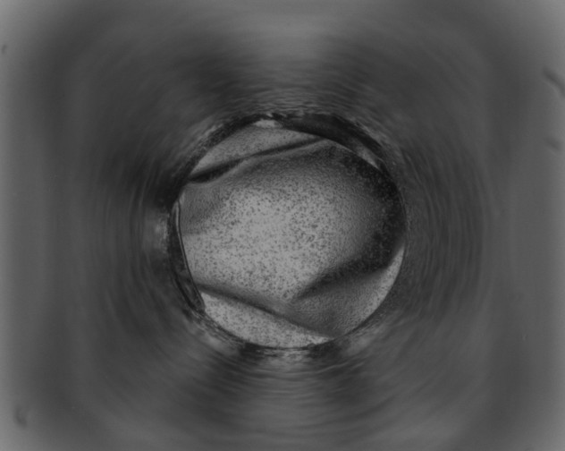 X0000093100288200710171208