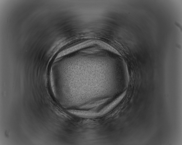 X0000093100290200710171207