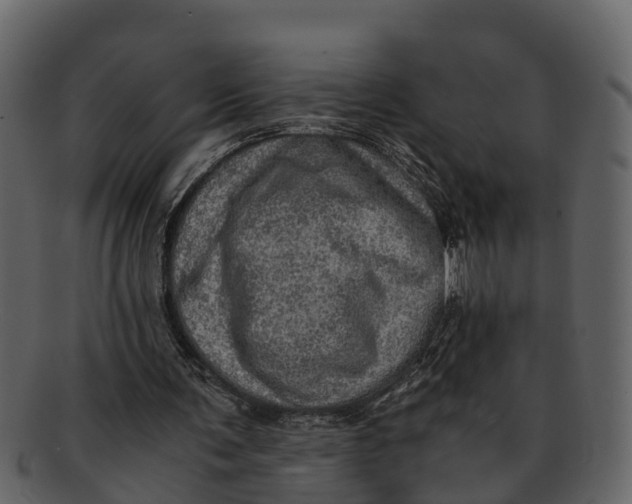 X0000093100291200710171207