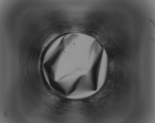 X0000093100292200710171207