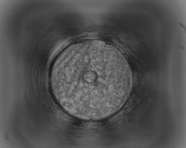 X0000093100293200710171207