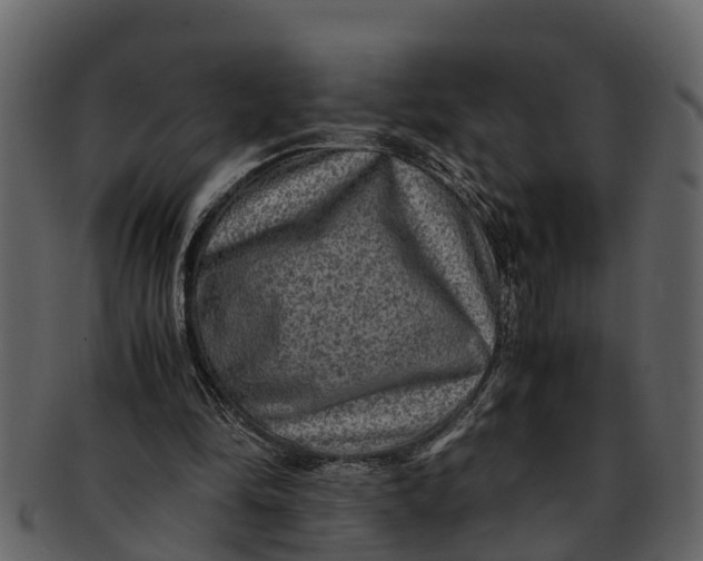 X0000093100294200710171207