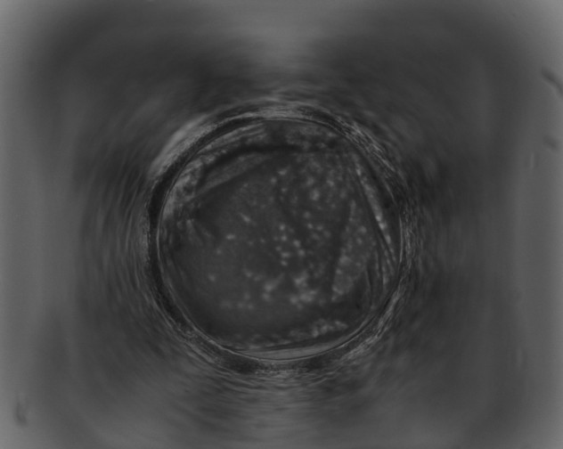 X0000093100295200710171207