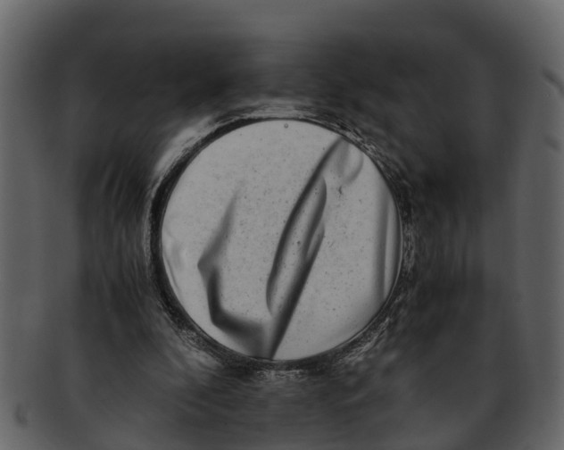 X0000093100296200710171207