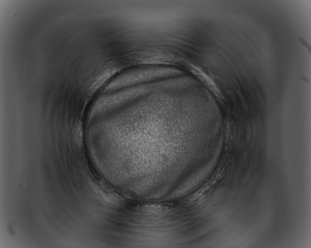 X0000093100298200710171207