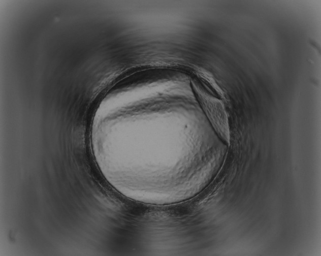 X0000093100299200710171207