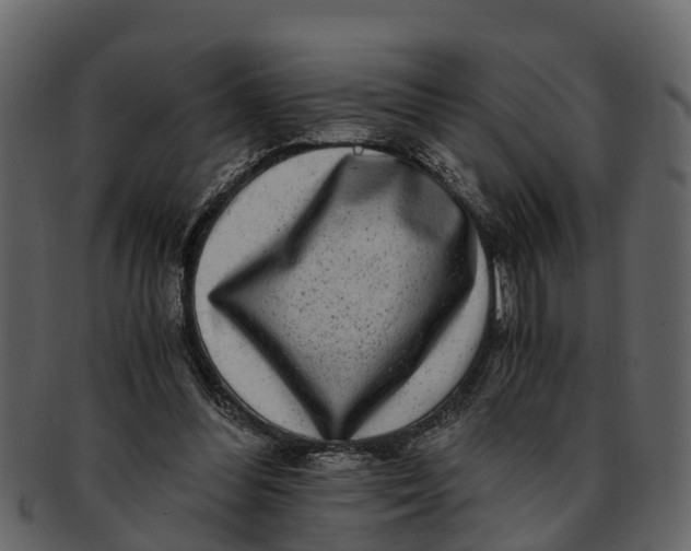 X0000093100300200710171207