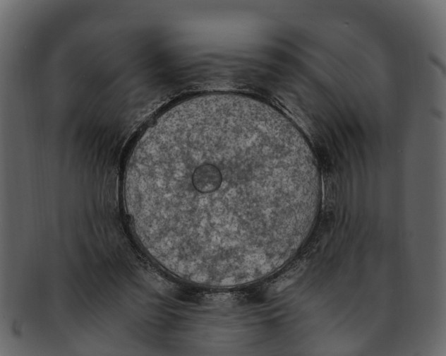 X0000093100301200710171207