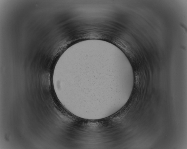 X0000093100302200710171207