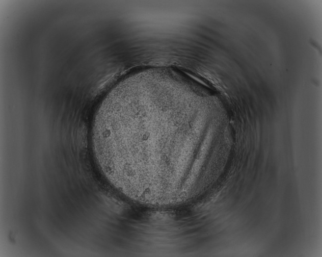 X0000093100303200710171207