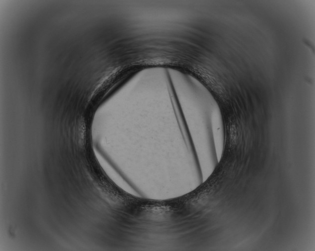 X0000093100304200710171207