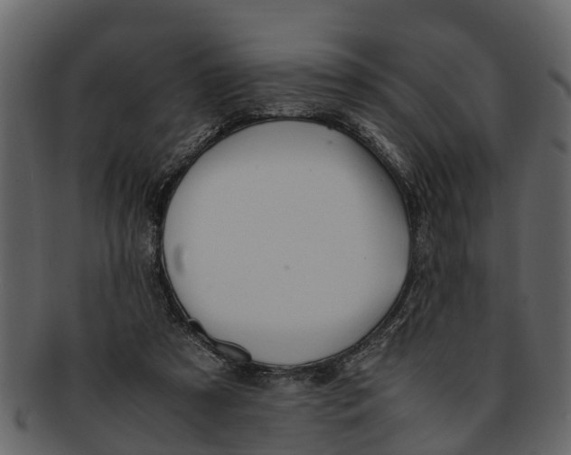 X0000093100305200710171207