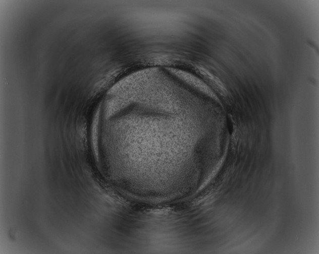 X0000093100306200710171207