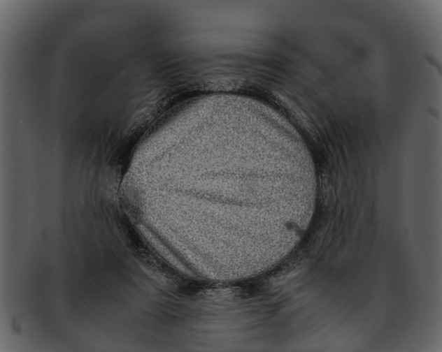 X0000093100307200710171207