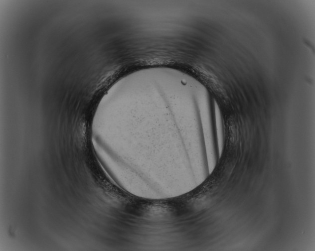 X0000093100308200710171207