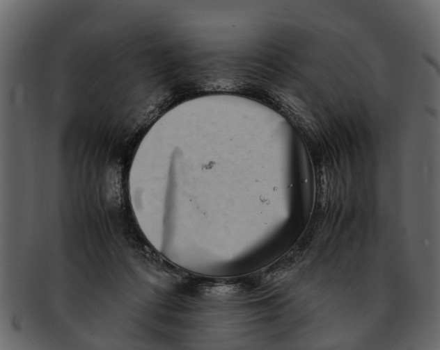 X0000093100312200710171207