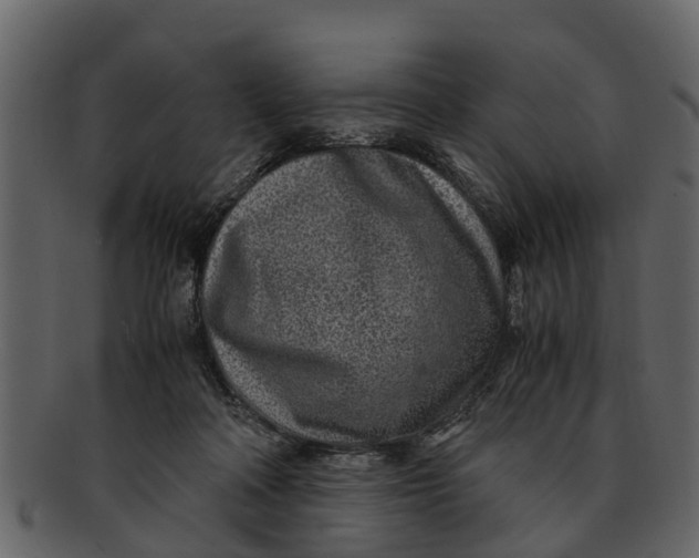 X0000093100314200710171207