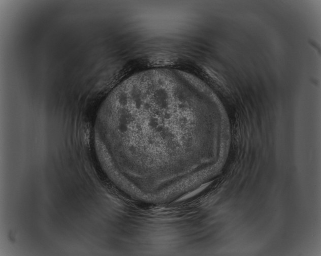 X0000093100315200710171207