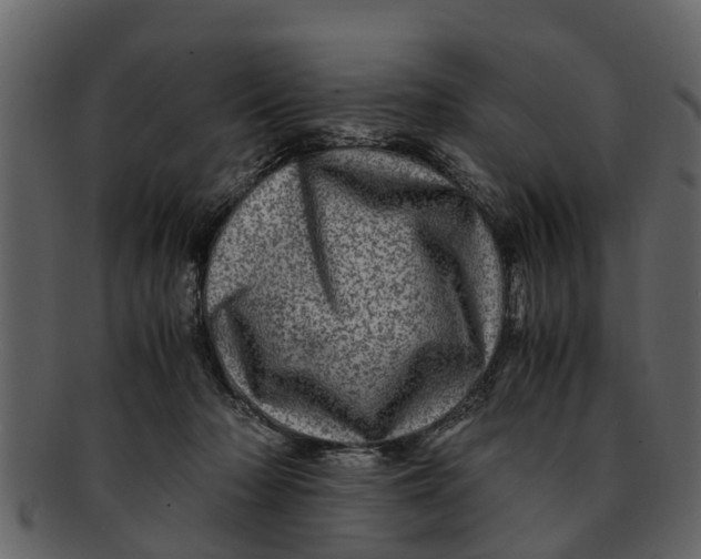 X0000093100318200710171207