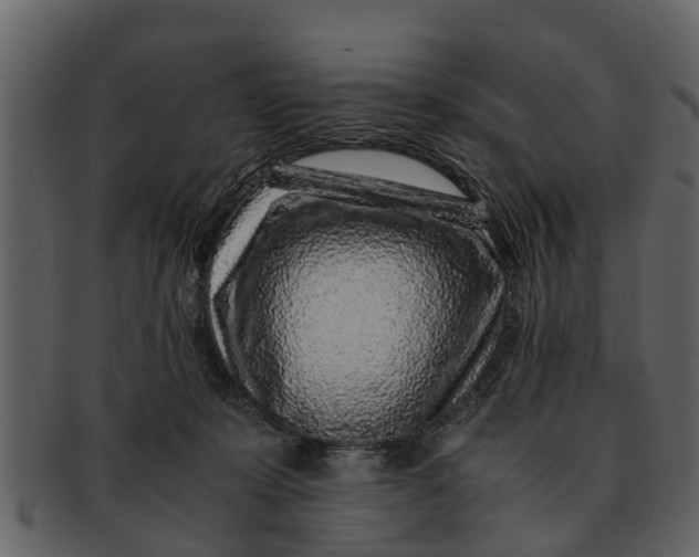 X0000093100319200710171207