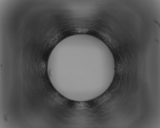 X0000093100321200710171206