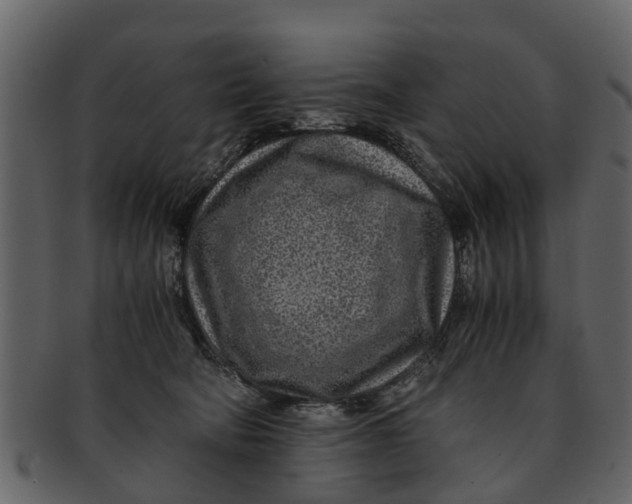 X0000093100322200710171206