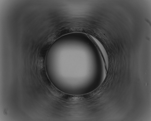 X0000093100323200710171206
