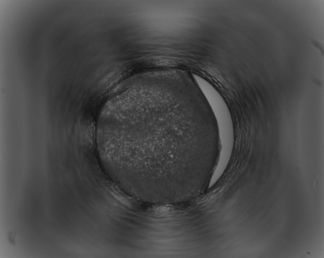 X0000093100325200710171206
