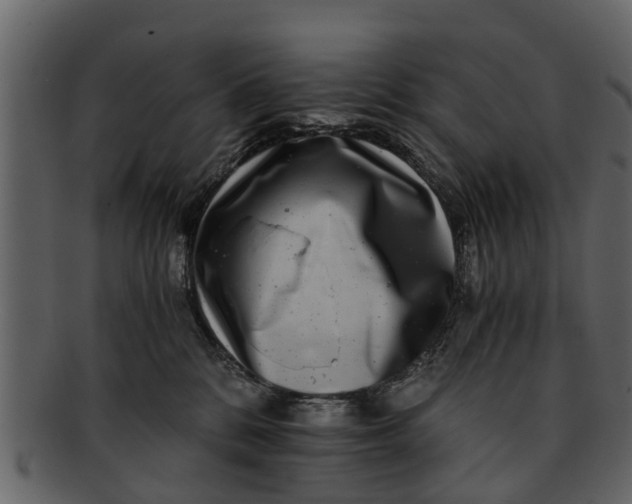 X0000093100328200710171206