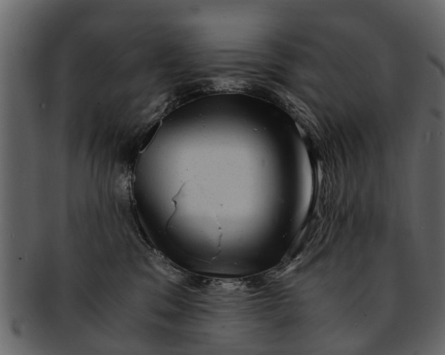 X0000093100329200710171206