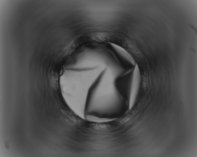 X0000093100332200710171206