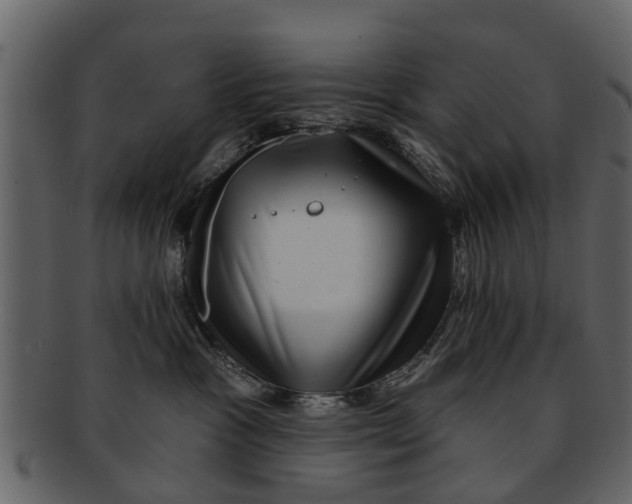 X0000093100333200710171206