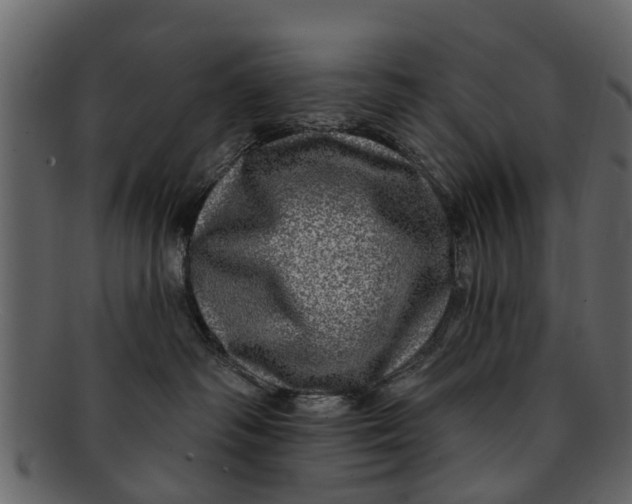 X0000093100334200710171206