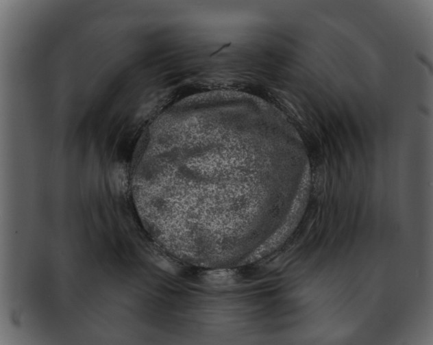 X0000093100335200710171206